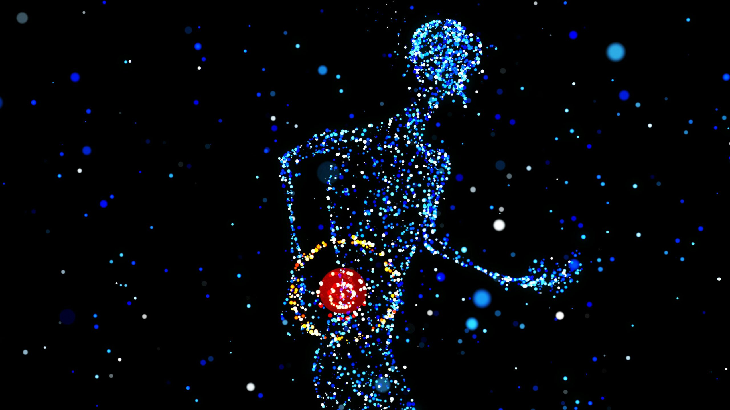 Bol, Mindfulness i Meditacija