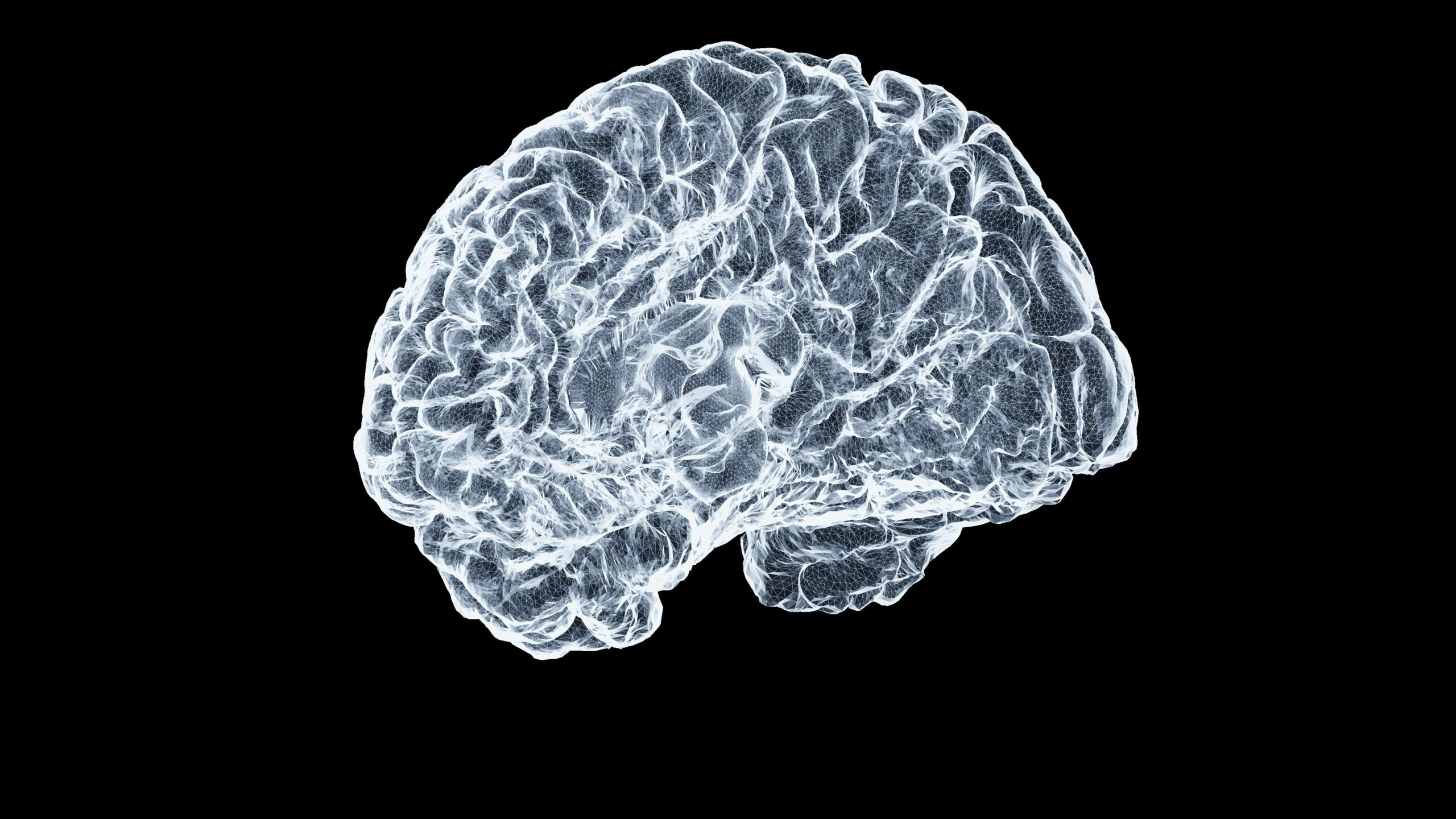 Mindfulness Perspektive: Mindfulness i Neuroznanost