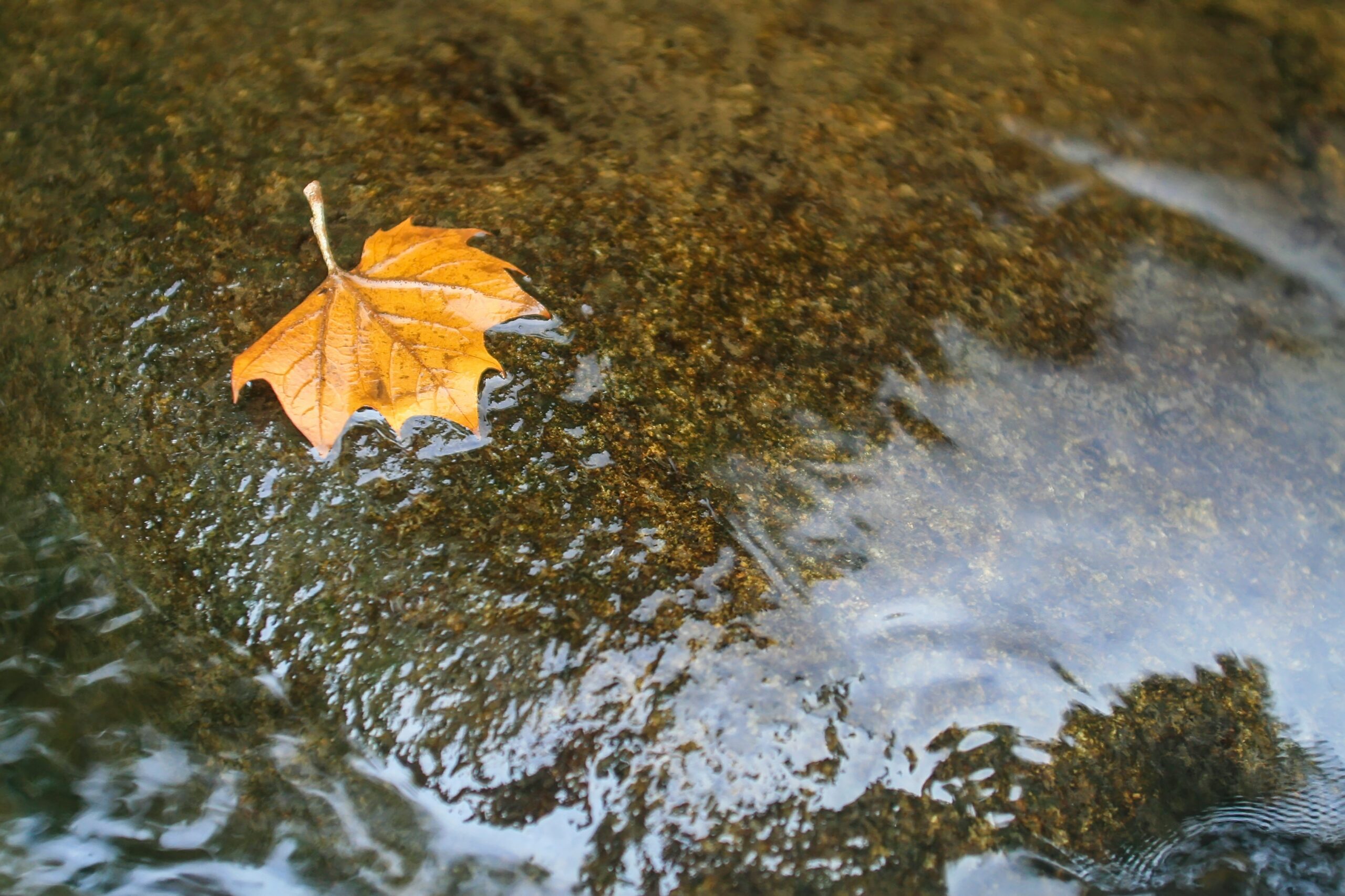 Mindfulness tehnike primjećivanja i prepoznavanja